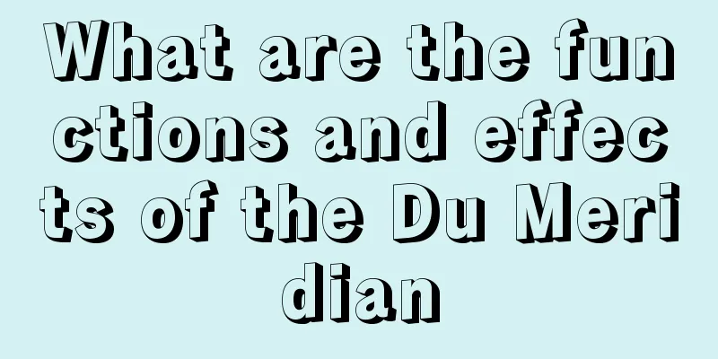 What are the functions and effects of the Du Meridian