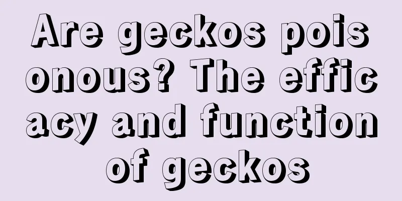 Are geckos poisonous? The efficacy and function of geckos