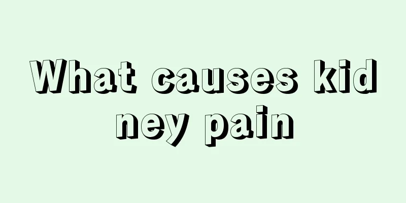What causes kidney pain