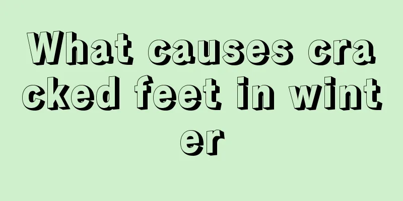 What causes cracked feet in winter