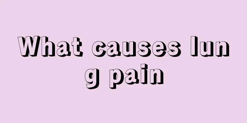 What causes lung pain