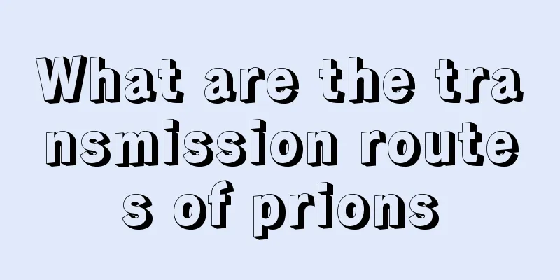 What are the transmission routes of prions