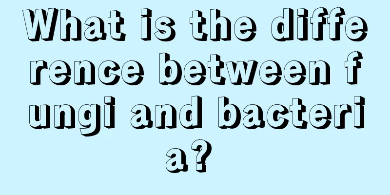 What is the difference between fungi and bacteria? 