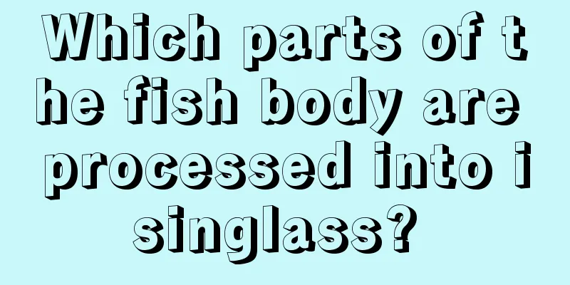 Which parts of the fish body are processed into isinglass? 