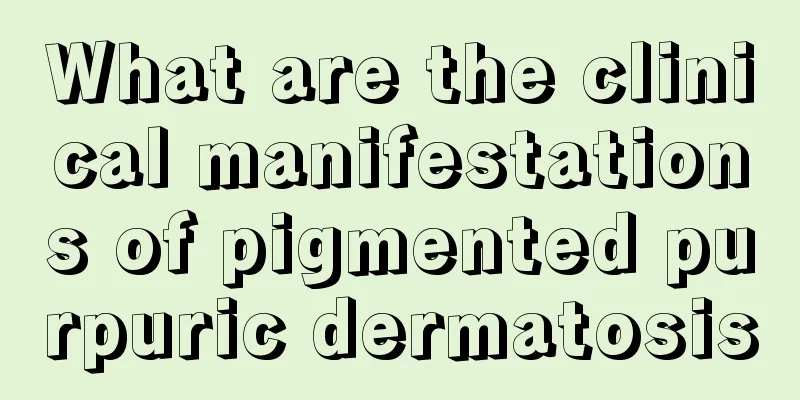 What are the clinical manifestations of pigmented purpuric dermatosis
