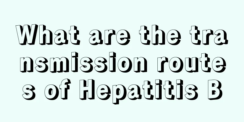 What are the transmission routes of Hepatitis B