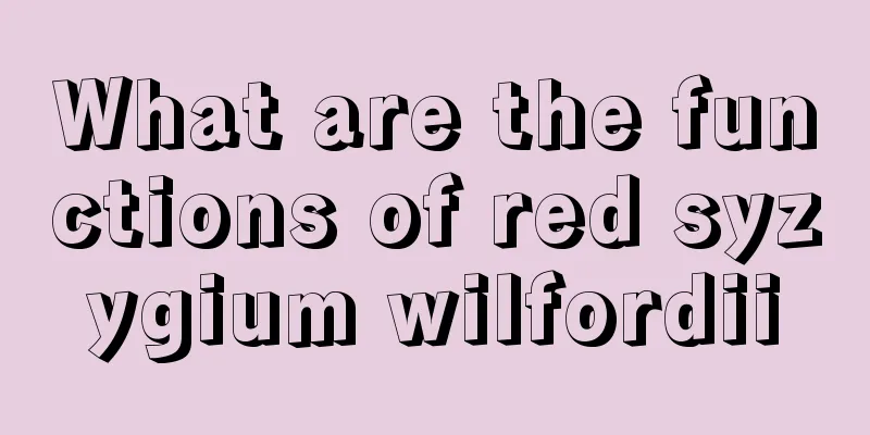 What are the functions of red syzygium wilfordii