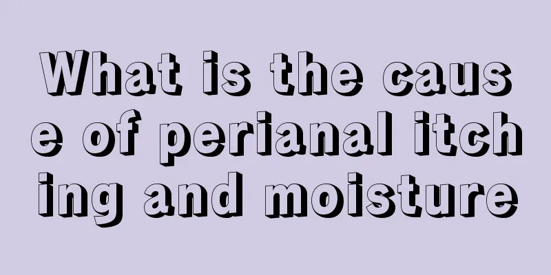 What is the cause of perianal itching and moisture