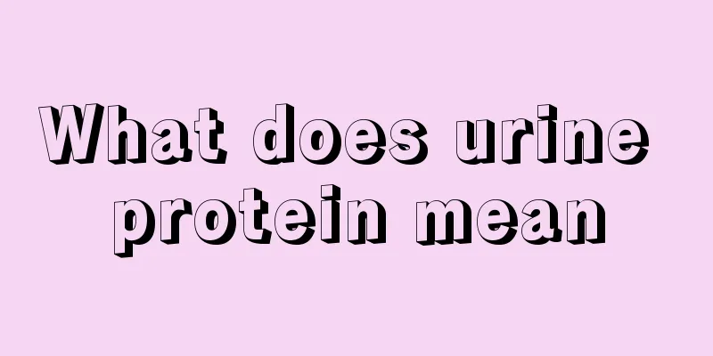 What does urine protein mean