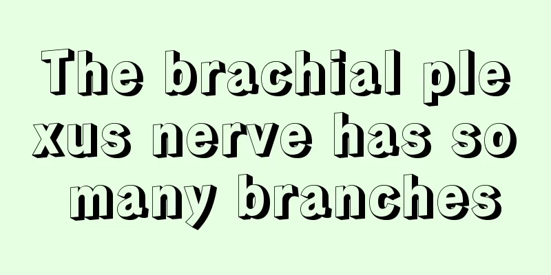 The brachial plexus nerve has so many branches