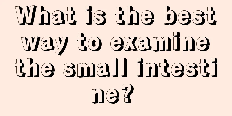 What is the best way to examine the small intestine? 