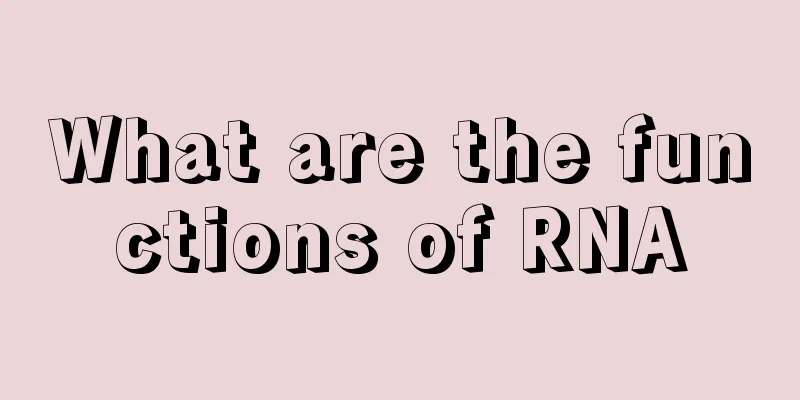 What are the functions of RNA