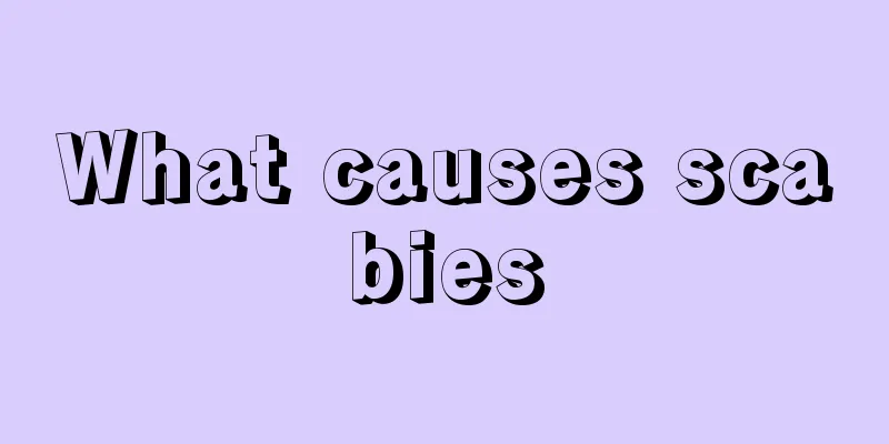 What causes scabies
