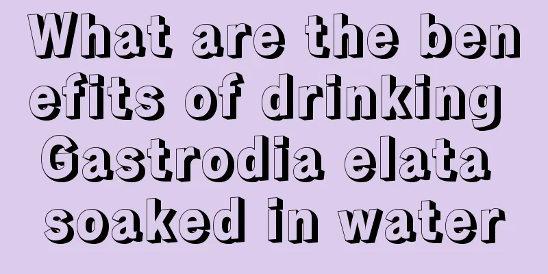 What are the benefits of drinking Gastrodia elata soaked in water