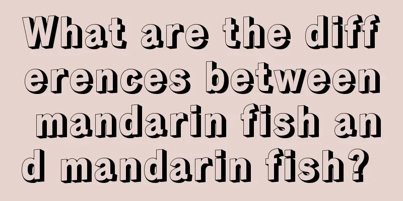 What are the differences between mandarin fish and mandarin fish? 