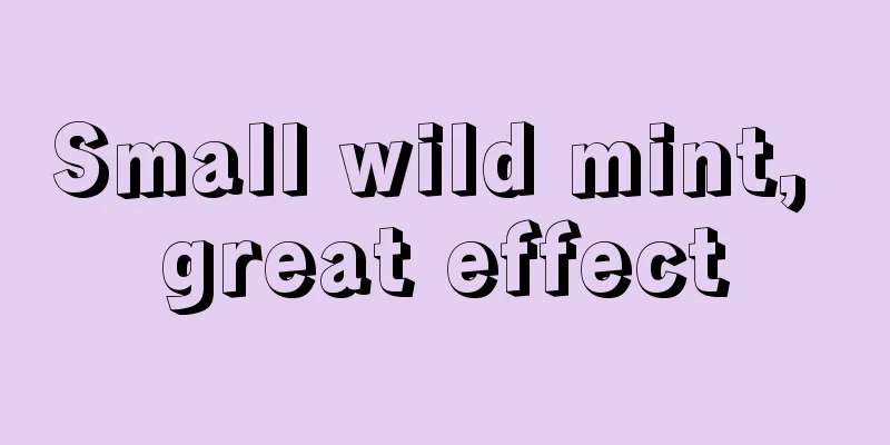 Small wild mint, great effect