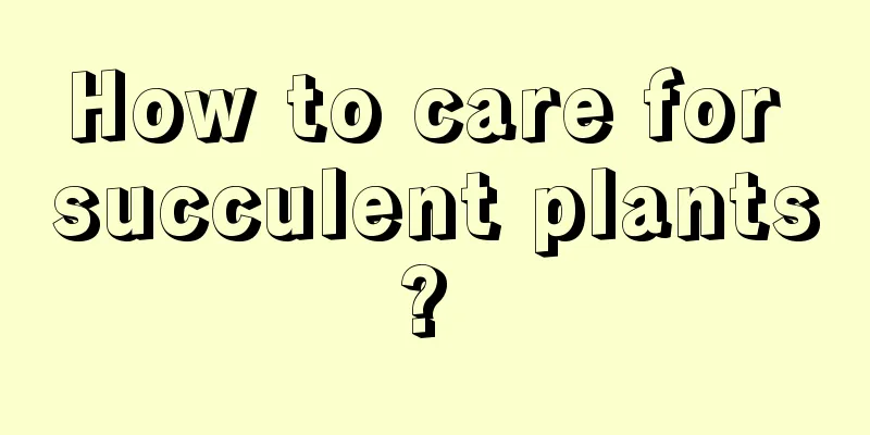 How to care for succulent plants? 