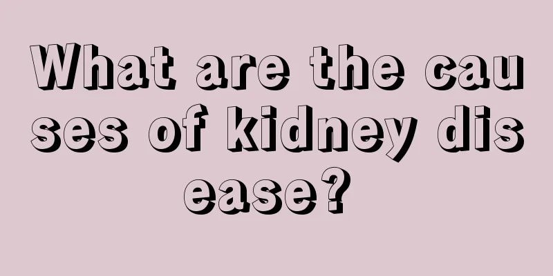 What are the causes of kidney disease? 