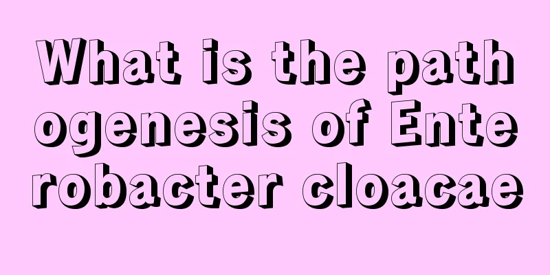 What is the pathogenesis of Enterobacter cloacae