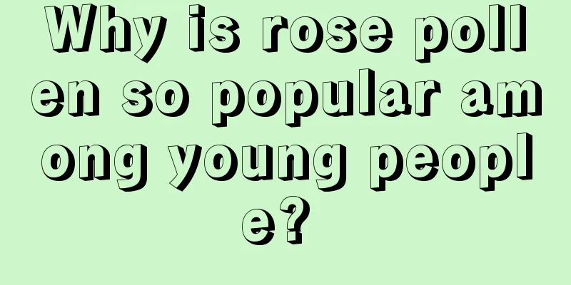Why is rose pollen so popular among young people? 
