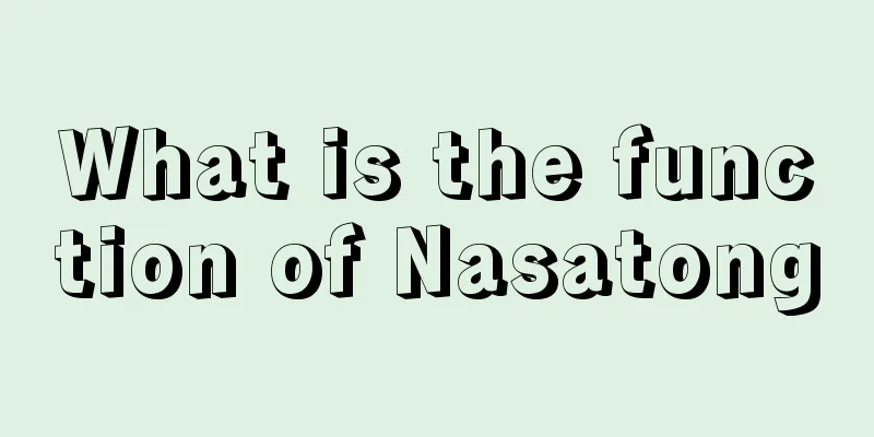 What is the function of Nasatong