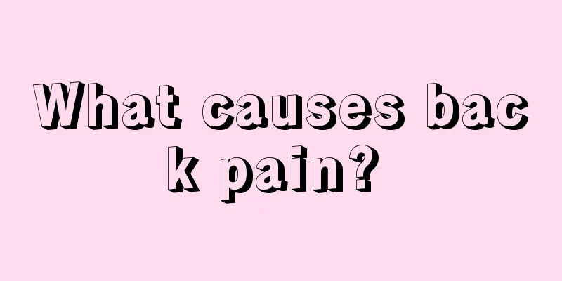 What causes back pain? 