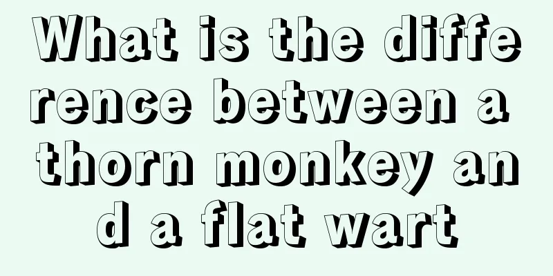 What is the difference between a thorn monkey and a flat wart
