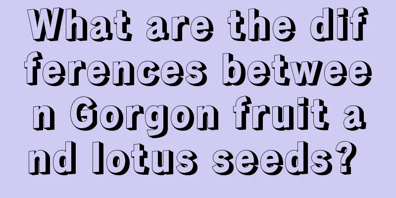 What are the differences between Gorgon fruit and lotus seeds? 