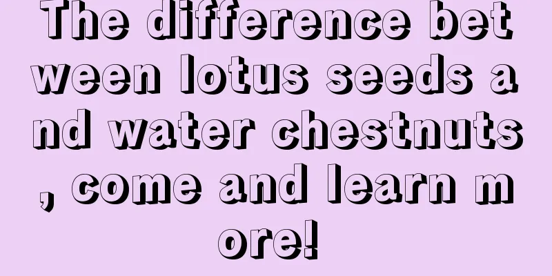 The difference between lotus seeds and water chestnuts, come and learn more! 