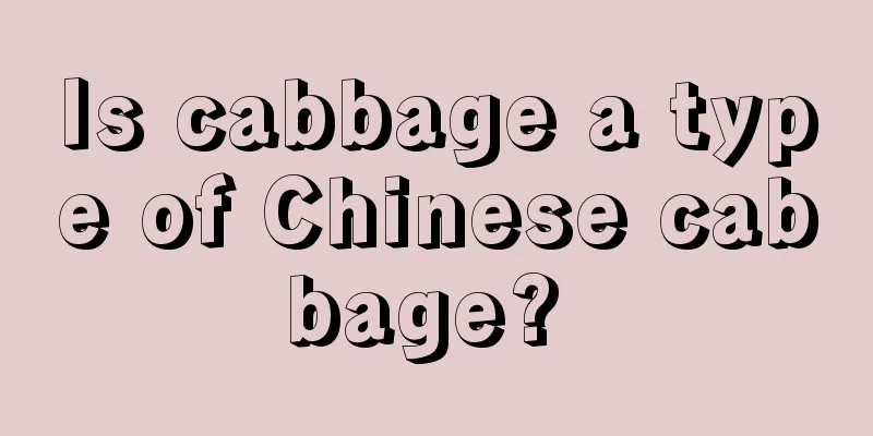 Is cabbage a type of Chinese cabbage? 