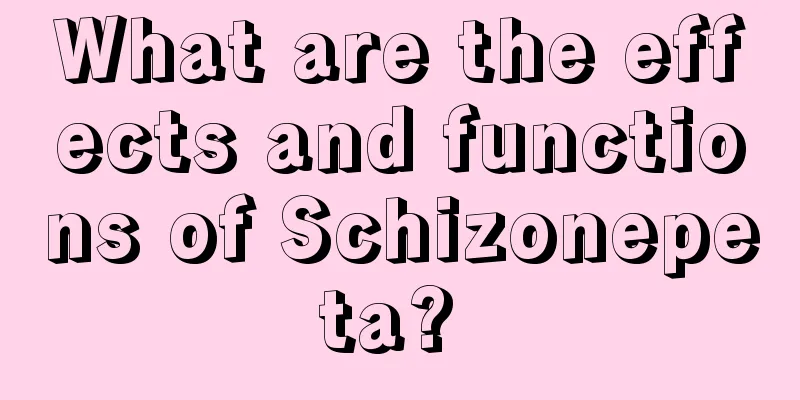What are the effects and functions of Schizonepeta? 