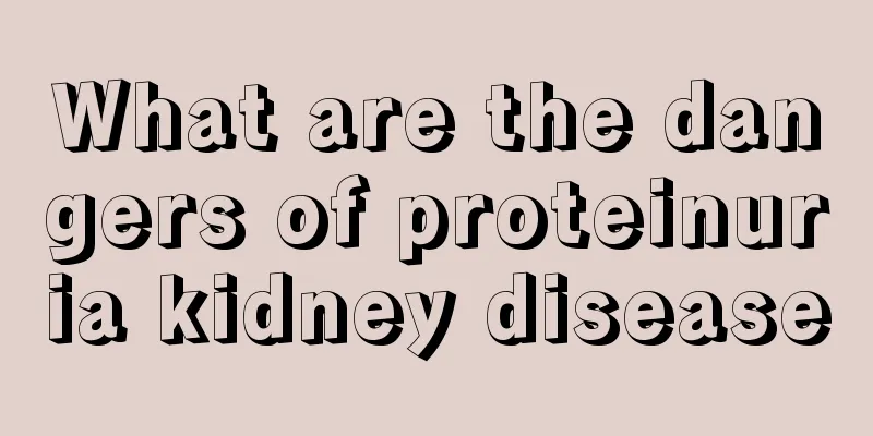 What are the dangers of proteinuria kidney disease