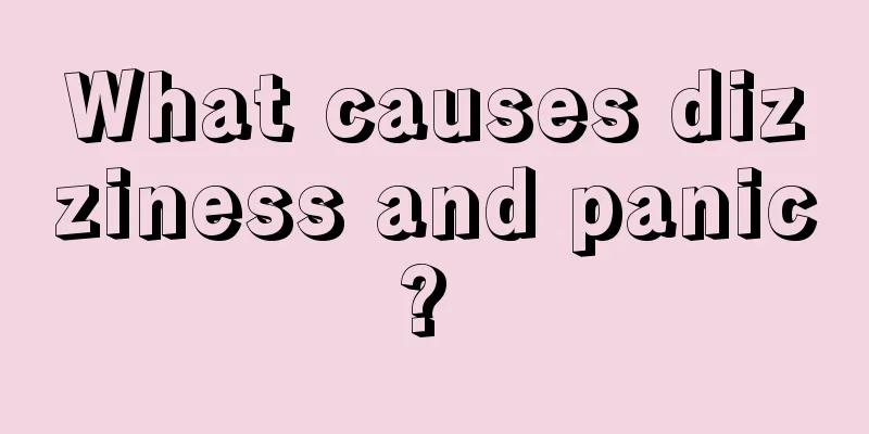 What causes dizziness and panic? 