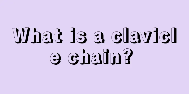 What is a clavicle chain? 