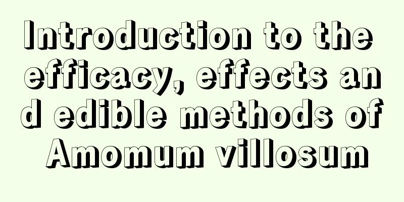 Introduction to the efficacy, effects and edible methods of Amomum villosum