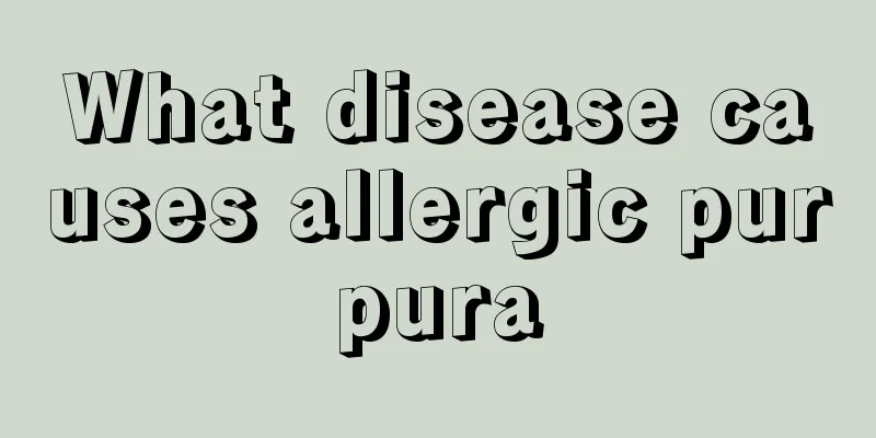 What disease causes allergic purpura