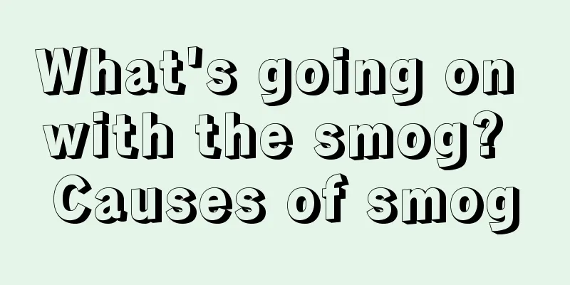 What's going on with the smog? Causes of smog