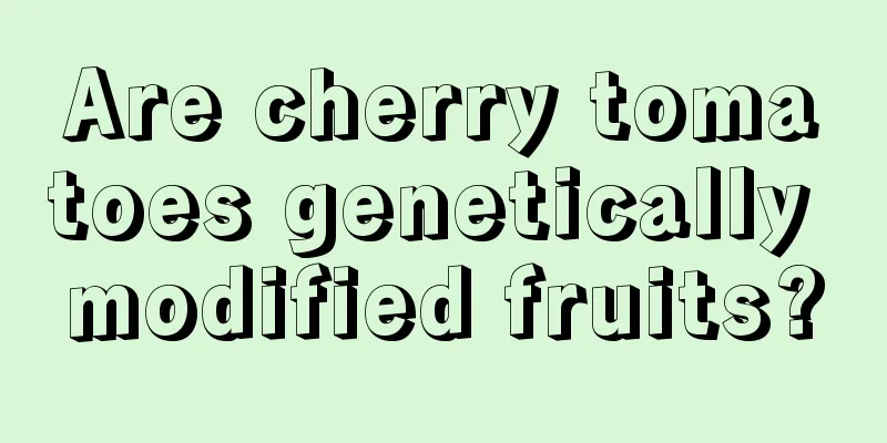 Are cherry tomatoes genetically modified fruits?