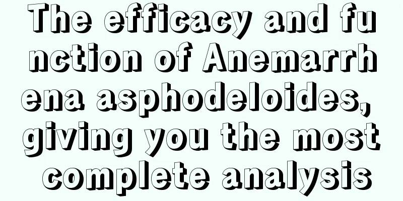 The efficacy and function of Anemarrhena asphodeloides, giving you the most complete analysis