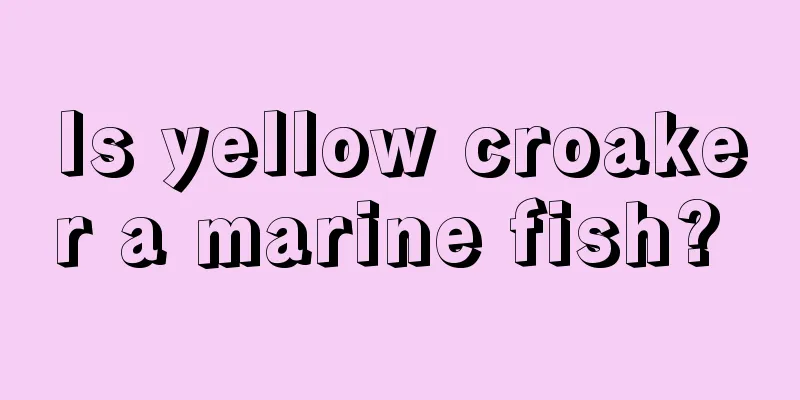 Is yellow croaker a marine fish? 