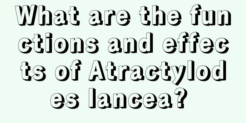 What are the functions and effects of Atractylodes lancea? 