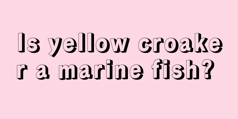 Is yellow croaker a marine fish? 
