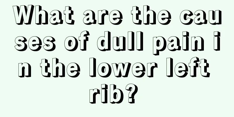 What are the causes of dull pain in the lower left rib? 