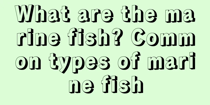 What are the marine fish? Common types of marine fish