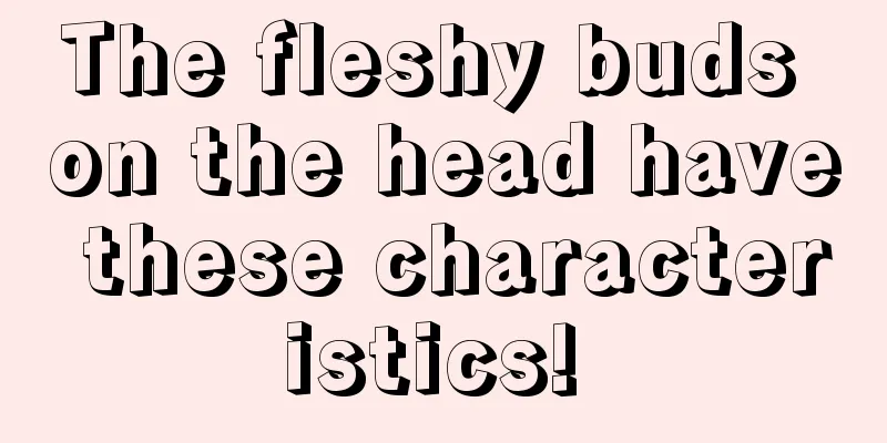 The fleshy buds on the head have these characteristics! 