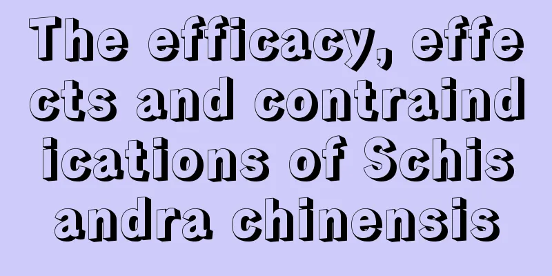 The efficacy, effects and contraindications of Schisandra chinensis