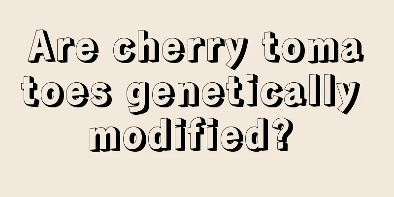 Are cherry tomatoes genetically modified? 