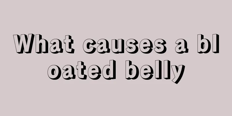 What causes a bloated belly