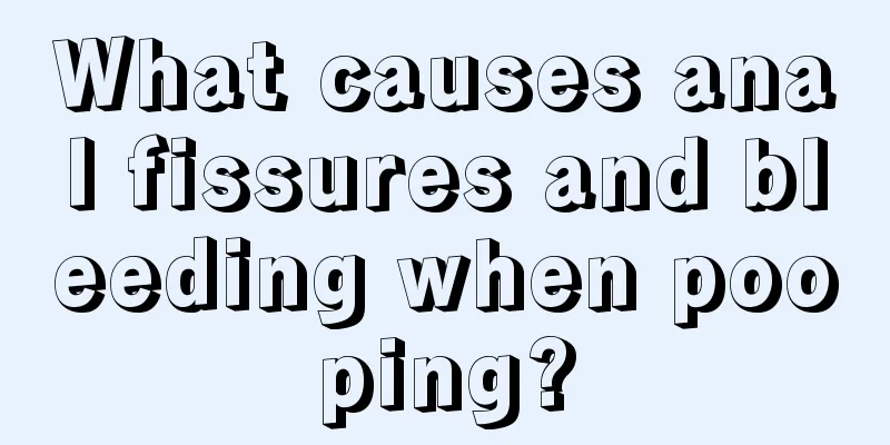 What causes anal fissures and bleeding when pooping?