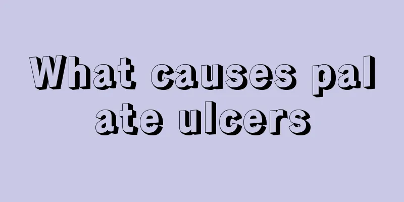 What causes palate ulcers